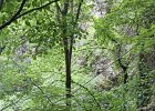 2026-06-05 at 11.21.45 (2)